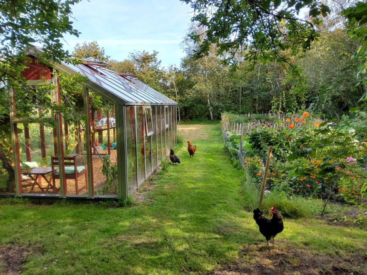 Ringkobing Fjord B&B Skjern Luaran gambar